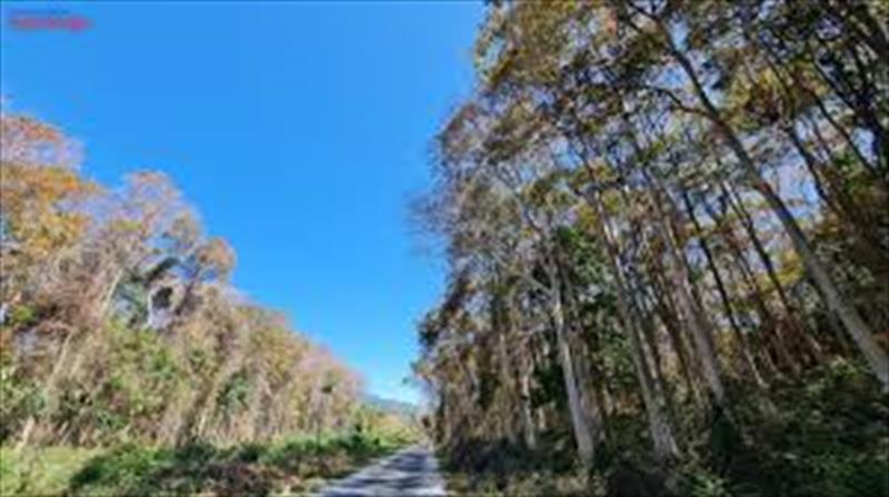 DISCOVER CHU MOM RAY NATIONAL PARK