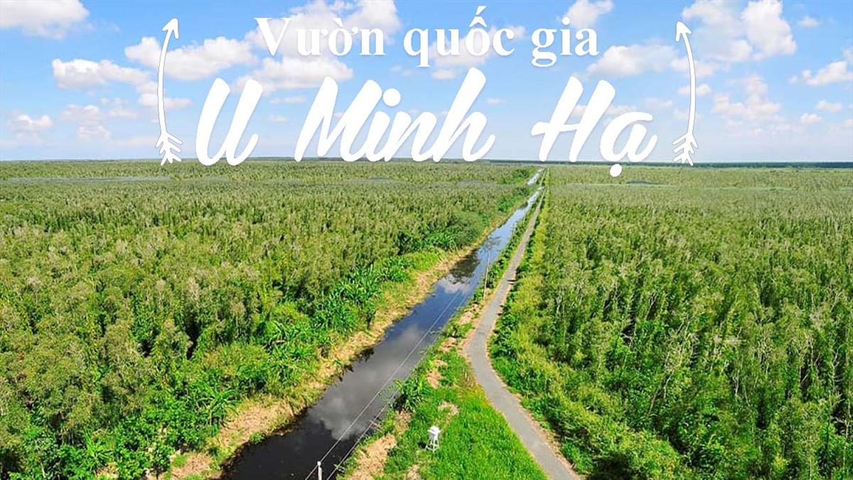 CUỘC SỐNG HOANG DÃ Ở RỪNG U MINH HẠ