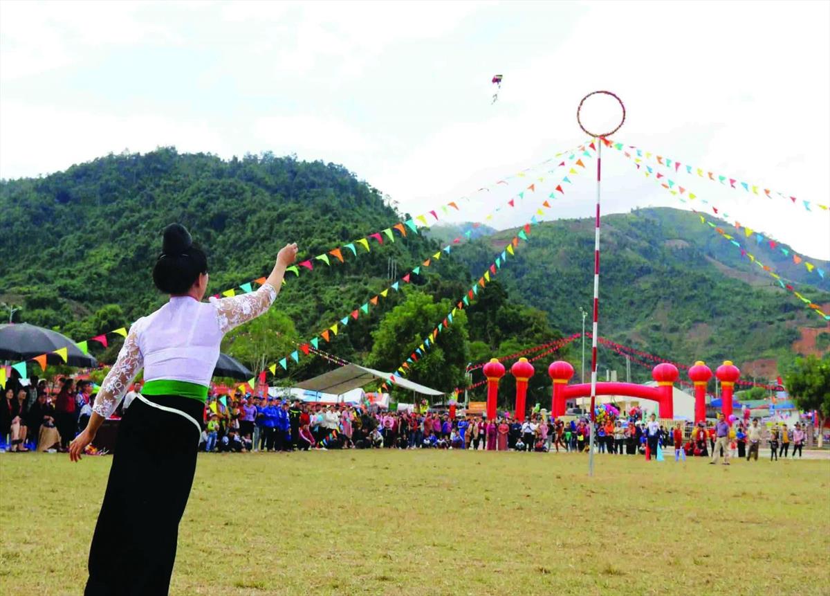 Tung còn ngày xuân