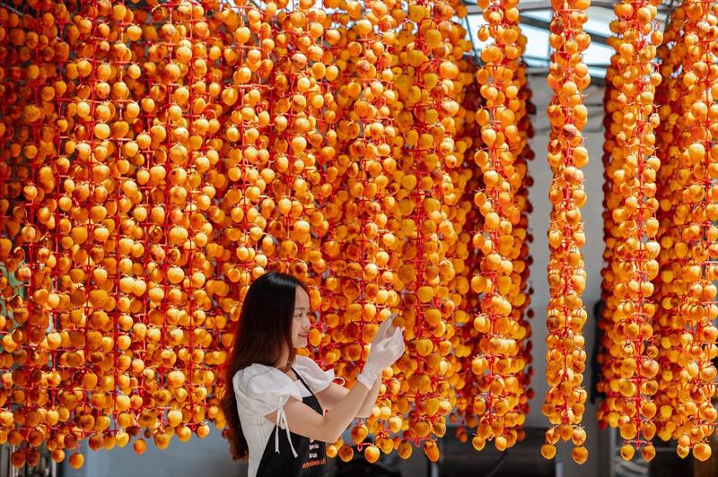 DU LỊCH ĐÀ LẠT - CUỐN HÚT TỪNG KHOẢNH KHẮC