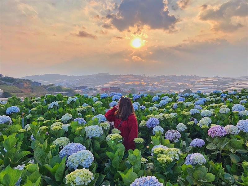 DU LỊCH ĐÀ LẠT - CUỐN HÚT TỪNG KHOẢNH KHẮC