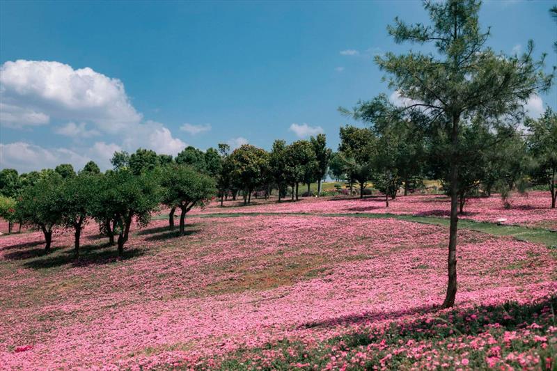 CHÂU ÂU 3 NƯỚC: PHÁP – THỤY SỸ - Ý - VATICAN 9N8D
