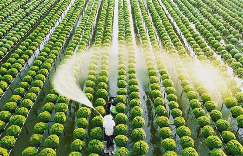 DU LỊCH LONG AN - ĐỒNG THÁP - CHÂU ĐỐC - HÀ TIÊN - RẠCH GIÁ