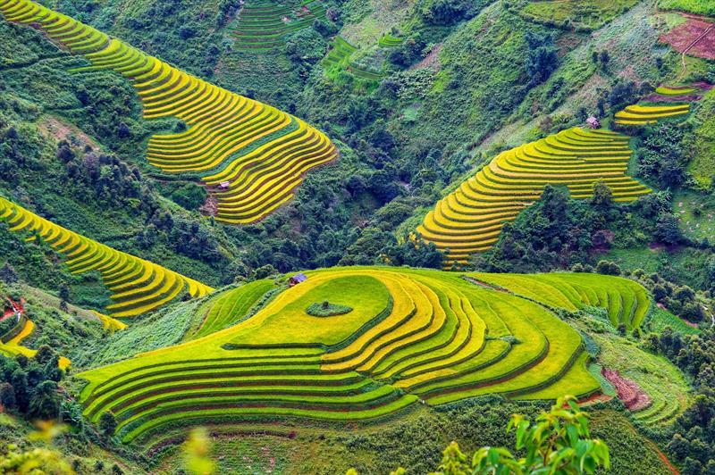 MÙ CANG CHẢI - SAPA - LAI CHÂU ĐIỆN BIÊN - SƠN LA - MỘC CHÂU - MAI CHÂU
