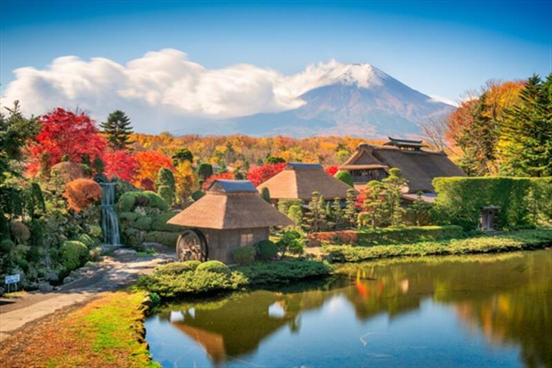 NHẬT BẢN: TOKYO – NÚI PHÚ SĨ – ONSEN 4N3D - HÀNG KHÔNG VIETNAMAIRLINE