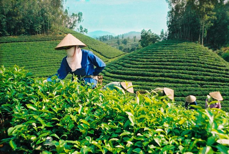 TÀ ĐÙNG - 