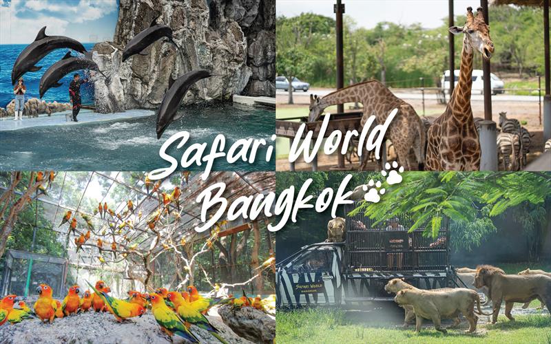 THÁI LAN - THAM QUAN SAFARI WORLD: BANGKOK - PATTAYA 5N4Đ - HÀNG KHÔNG VJ