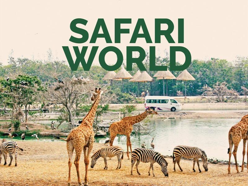 THÁI LAN - THAM QUAN SAFARI WORLD: BANGKOK - PATTAYA 5N4Đ - HÀNG KHÔNG VJ