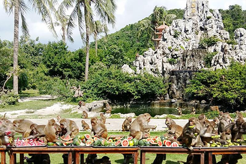 TOUR TẾT: NHA TRANG - ĐẢO KHỈ - VINHARBOUR 4N3Đ