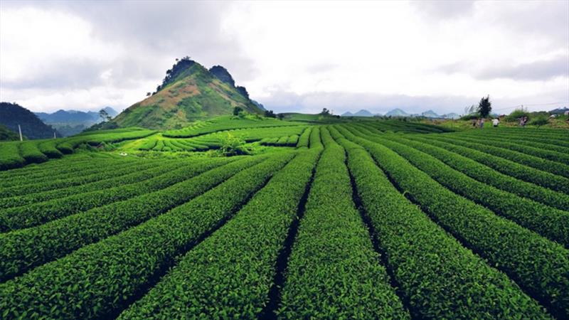 VÒNG CUNG TÂY BẮC
