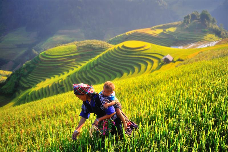 VÒNG CUNG TÂY BẮC